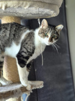 /album/27-10-2025/afbeelding-van-whatsapp-op-2025-10-26-om-14-23-19-2e2057f7-jpg/